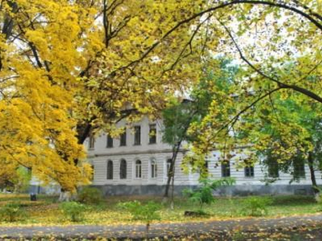 Лікувальна робота